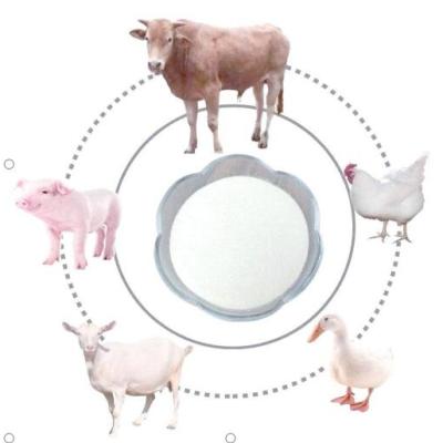 The Importance of Methionine