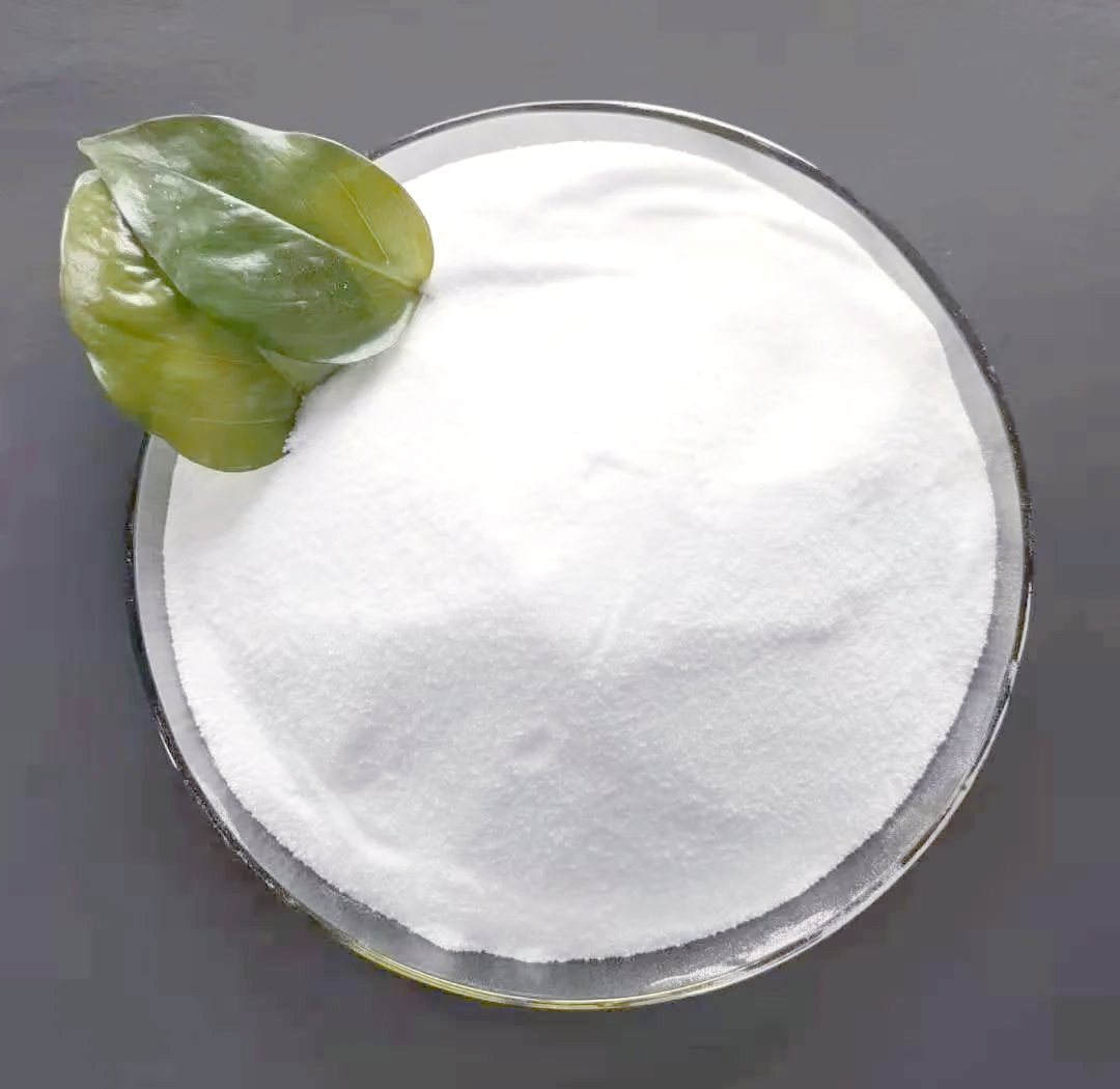 1772272981813199.png 1772272981813199.png